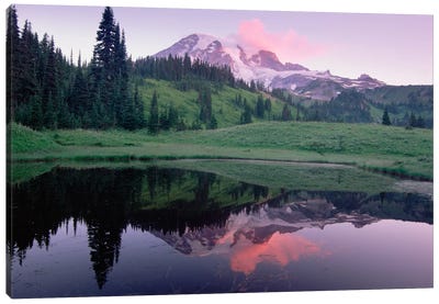 Mt Rainier Reflected In Lake, Mt Rainier National Park, Washington I Canvas Art Print - Washington Art