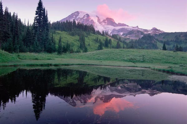Washington: Mt Rainier Reflected In Lake, Mt Rainier National Park, Washington I by Tim Fitzharris