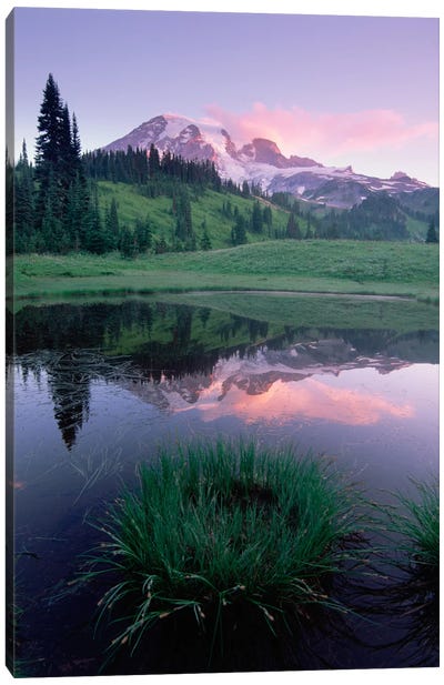 Mt Rainier Reflected In Lake, Mt Rainier National Park, Washington II Canvas Art Print - Mount Rainier National Park Art