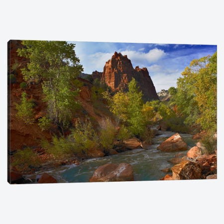 Mt Spry At 5,823 Foot Elevation With The Virgin River Surrounded By Cottonwood Trees, Zion National Park, Utah I Canvas Print #TFI673} by Tim Fitzharris Canvas Art Print