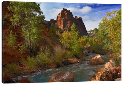 Mt Spry At 5,823 Foot Elevation With The Virgin River Surrounded By Cottonwood Trees, Zion National Park, Utah I Canvas Art Print