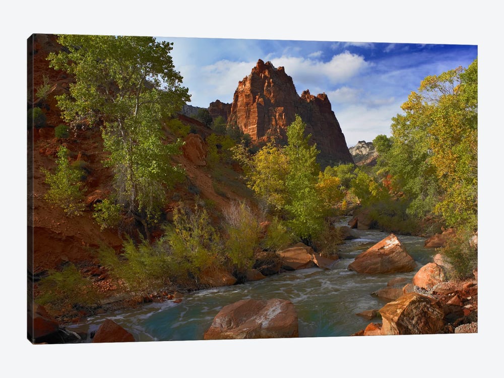 Mt Spry At 5,823 Foot Elevation With The Virgin River Surrounded By Cottonwood Trees, Zion National Park, Utah I 1-piece Canvas Artwork