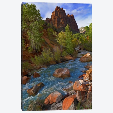 Mt Spry At 5,823 Foot Elevation With The Virgin River Surrounded By Cottonwood Trees, Zion National Park, Utah II Canvas Print #TFI674} by Tim Fitzharris Canvas Artwork