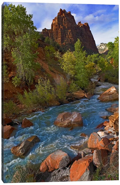 Mt Spry At 5,823 Foot Elevation With The Virgin River Surrounded By Cottonwood Trees, Zion National Park, Utah II Canvas Art Print - Poplar Tree Art