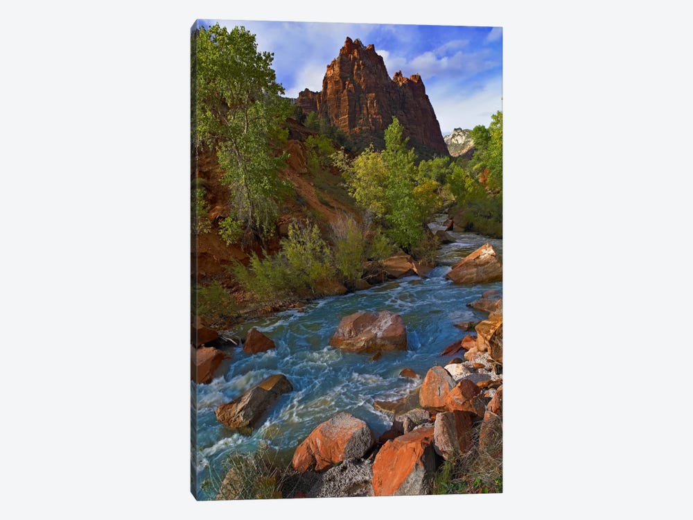 Mt Spry At 5,823 Foot Elevation With The Virgin River Surrounded By Cottonwood Trees, Zion National Park, Utah II by Tim Fitzharris 1-piece Canvas Print