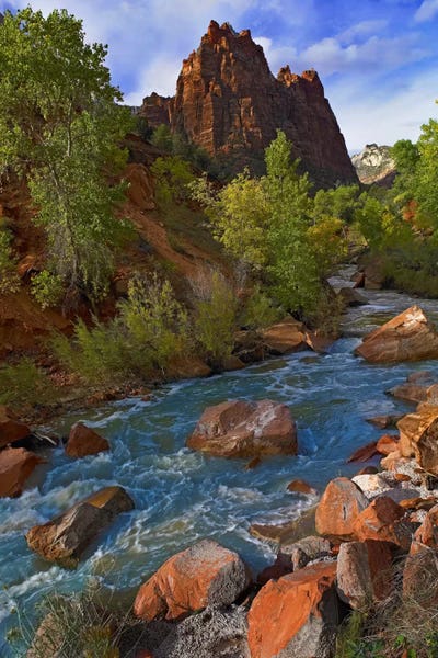Tim Fitzharris: Mt Spry At 5,823 Foot Elevation With The Virgin River Surrounded By Cottonwood Trees, Zion National Park, Utah II by Tim Fitzharris