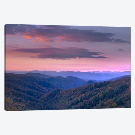 Newfound Gap, Great Smoky Mountains National Park, North Carolina Canvas Print #TFI681} by Tim Fitzharris Canvas Artwork