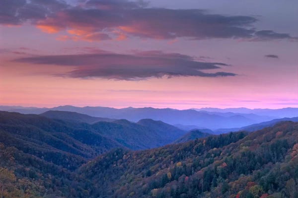 Tennessee: Newfound Gap, Great Smoky Mountains National Park, North Carolina by Tim Fitzharris