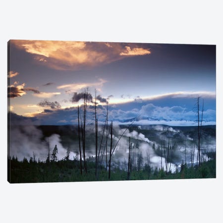 Norris Geyser Basin With Steam Plumes From Geysers, Yellowstone National Park, Wyoming Canvas Print #TFI684} by Tim Fitzharris Canvas Print