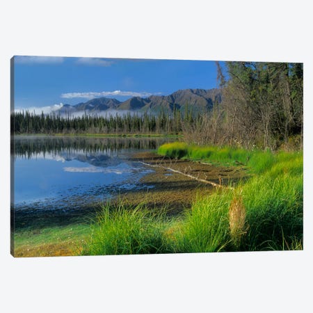 Nutzotin Mountains And Boreal Forest Reflected In Receding Lake, Alaska Canvas Print #TFI699} by Tim Fitzharris Canvas Print