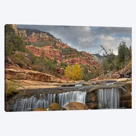 Oak Creek In Slide Rock State Park Near Sedona, Arizona I Canvas Print #TFI702} by Tim Fitzharris Canvas Art Print