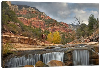 Oak Creek In Slide Rock State Park Near Sedona, Arizona I Canvas Art Print - Waterfall Art