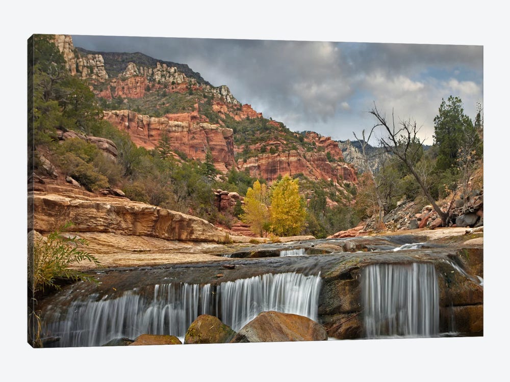 Oak Creek In Slide Rock State Park Near Sedona, Arizona I by Tim Fitzharris 1-piece Art Print