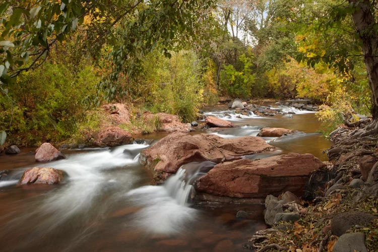 Oak Creek In Slide Rock State Park Near Sedona, Arizona II