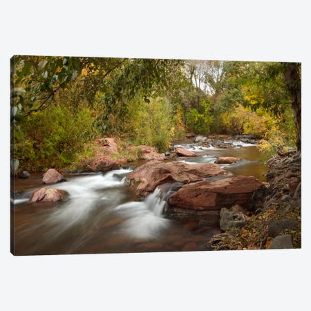 Oak Creek In Slide Rock State Park Near Sedona, Arizona II Canvas Print #TFI703} by Tim Fitzharris Canvas Print