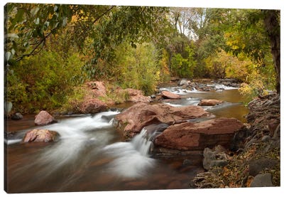 Oak Creek In Slide Rock State Park Near Sedona, Arizona II Canvas Art Print - Rock Art