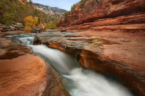 Arizona: Oak Creek In Slide Rock State Park Near Sedona, Arizona III by Tim Fitzharris