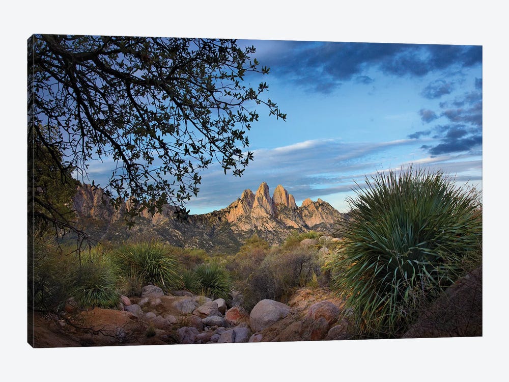 Organ Mountains Near Las Cruces, New Mexico I by Tim Fitzharris 1-piece Art Print