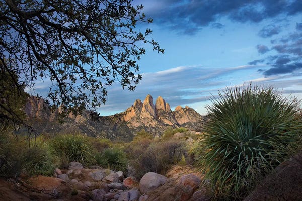 Minden Pictures: Organ Mountains Near Las Cruces, New Mexico I by Tim Fitzharris