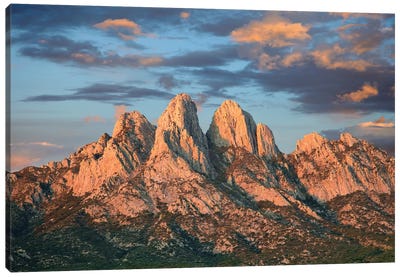 Organ Mountains Near Las Cruces, New Mexico II Canvas Art Print - Mountains Scenic Photography