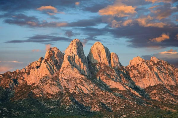 Minden Pictures: Organ Mountains Near Las Cruces, New Mexico II by Tim Fitzharris