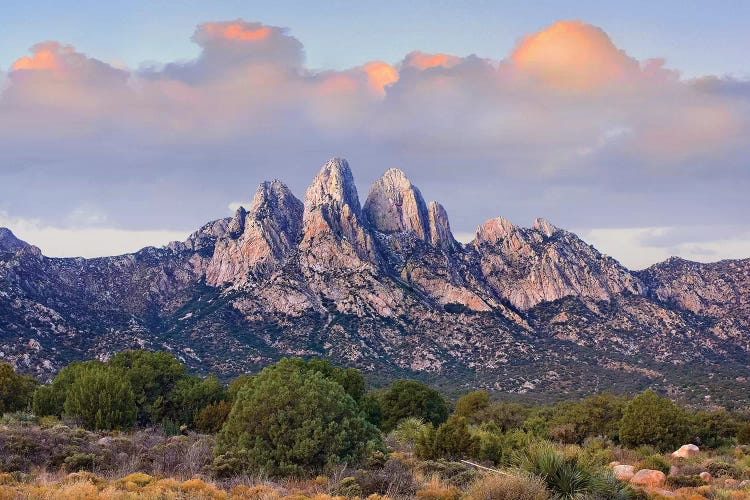 Organ Mountains, Chihuahuan Desert, New Mexico I by Tim Fitzharris wall art