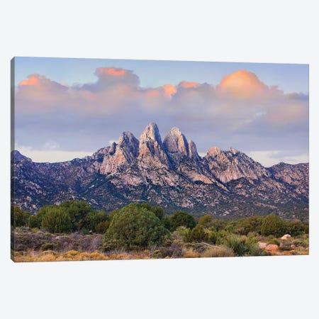 Organ Mountains, Chihuahuan Desert, New Mexico I Canvas Print #TFI741} by Tim Fitzharris Canvas Art Print
