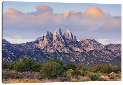 Organ Mountains, Chihuahuan Desert, New Mexico I Canvas Art Print - Mountain Art