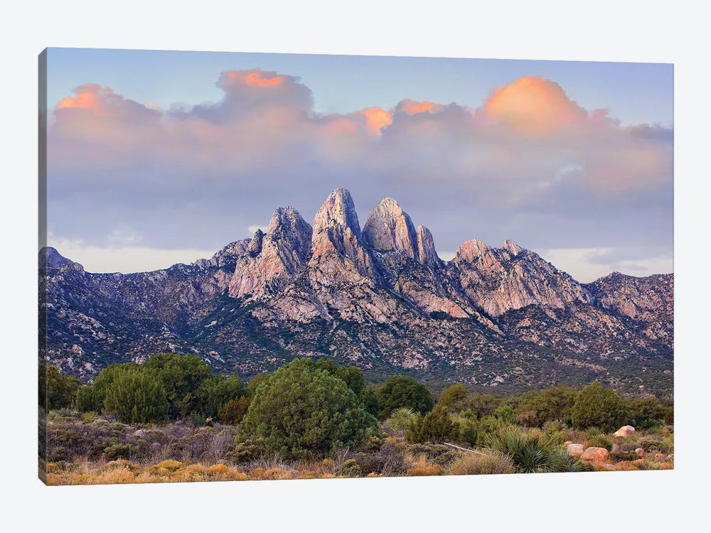 Organ Mountains, Chihuahuan Desert, New Mexico I by Tim Fitzharris 1-piece Canvas Art