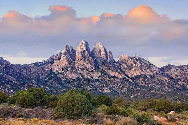 Minden Pictures: Organ Mountains, Chihuahuan Desert, New Mexico I by Tim Fitzharris