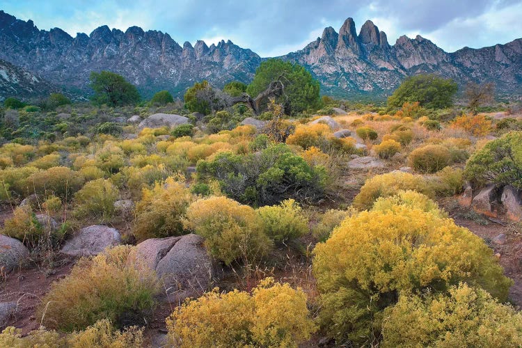 Organ Mountains, Chihuahuan Desert, New Mexico II