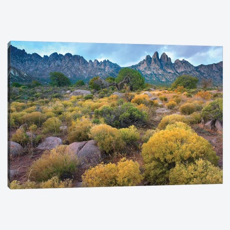 Organ Mountains, Chihuahuan Desert, New Mexico II Canvas Print #TFI742} by Tim Fitzharris Canvas Print