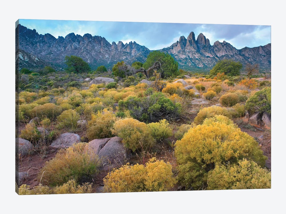 Organ Mountains, Chihuahuan Desert, New Mexico II by Tim Fitzharris 1-piece Canvas Print