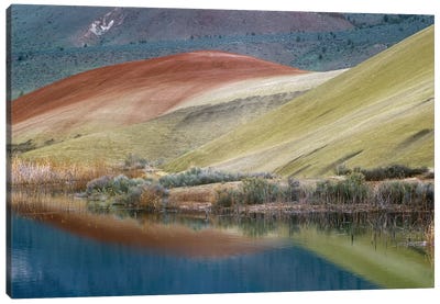 Painted Hills Reflected In Water, John Day Fossil Beds National Monument, Oregon Canvas Art Print - Tim Fitzharris