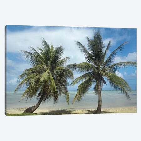 Palm Trees, Agana Beach, Guam Canvas Print #TFI760} by Tim Fitzharris Art Print