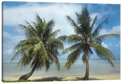 Palm Trees, Agana Beach, Guam Canvas Art Print - Guam