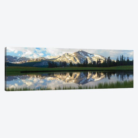 Panorama Of Mammoth Peak And Kuna Crest Reflected In Seasonal Pool,Upper Dana Meadow, Yosemite National Park, California Canvas Print #TFI766} by Tim Fitzharris Canvas Wall Art