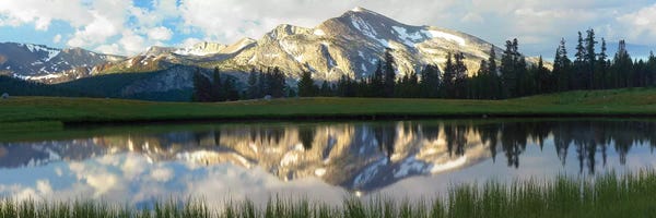 Minden Pictures: Panorama Of Mammoth Peak And Kuna Crest Reflected In Seasonal Pool,Upper Dana Meadow, Yosemite National Park, California by Tim Fitzharris