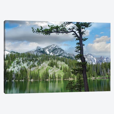 Pine Trees Reflected In Fairy Lake, Montana Canvas Print #TFI794} by Tim Fitzharris Art Print