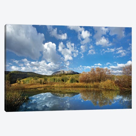 Pond Near East Beckwith Mountain, West Elk Wilderness, Colorado Canvas Print #TFI805} by Tim Fitzharris Canvas Art Print