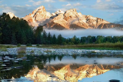 Pond Reflecting Grand Tetons, Grand Teton National Park, Wyoming by Tim Fitzharris canvas print