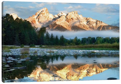 Pond Reflecting Grand Tetons, Grand Teton National Park, Wyoming Canvas Art Print - Teton Range Art
