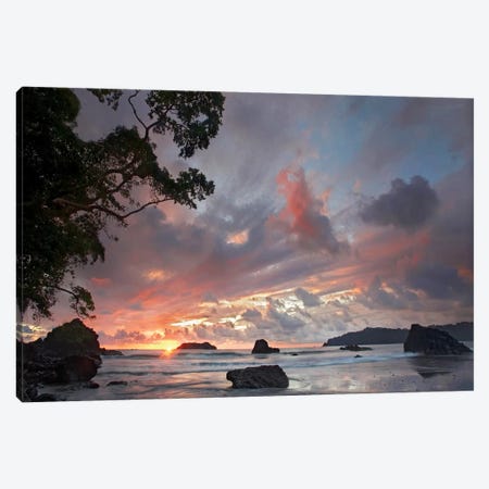 Beach And Coastline, Manuel Antonio National Park, Costa Rica Canvas Print #TFI83} by Tim Fitzharris Canvas Wall Art