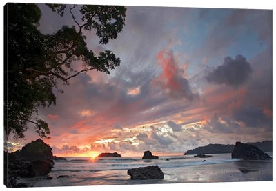 Beach And Coastline, Manuel Antonio National Park, Costa Rica Canvas Art Print - Tim Fitzharris