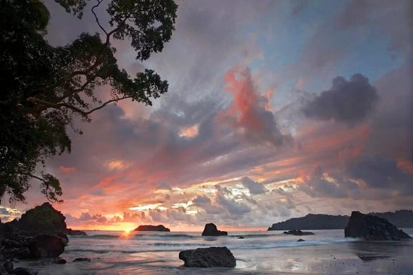Central America: Beach And Coastline, Manuel Antonio National Park, Costa Rica by Tim Fitzharris