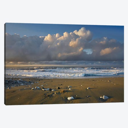 Beach And Waves, Corcovado National Park, Costa Rica Canvas Print #TFI84} by Tim Fitzharris Art Print