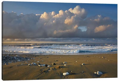 Beach And Waves, Corcovado National Park, Costa Rica Canvas Art Print - Costa Rica