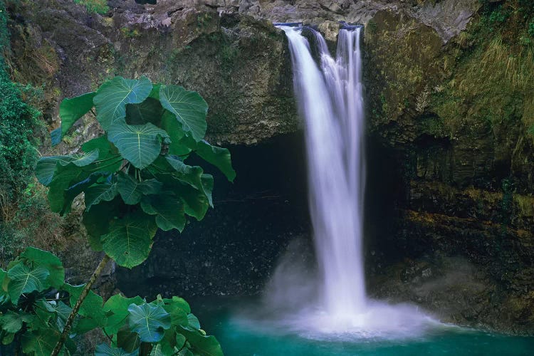 Rainbow Falls Cascading Into Pool, Big Island, Hawaii