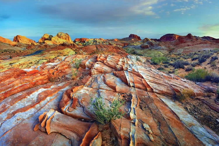 Rainbow Vista, Valley Of Fire State Park, Nevada