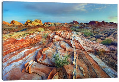 Rainbow Vista, Valley Of Fire State Park, Nevada Canvas Art Print - Nevada Art